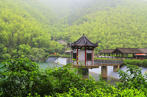 江苏溧阳南山竹海一流的天然氧吧