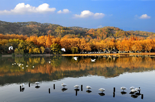 西溪湿地：因一部《非诚勿扰》影片的外景地而名声大震的西溪